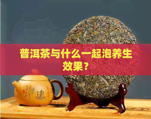 普洱茶与什么一起泡养生效果？