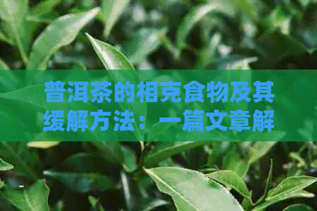 普洱茶的相克食物及其缓解方法：一篇文章解决您的所有疑问