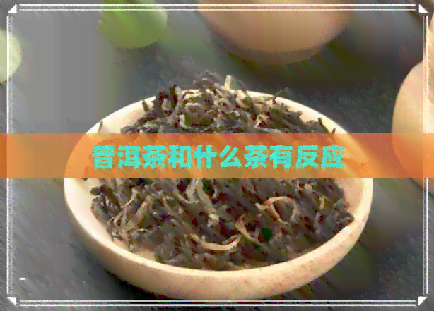 普洱茶和什么茶有反应