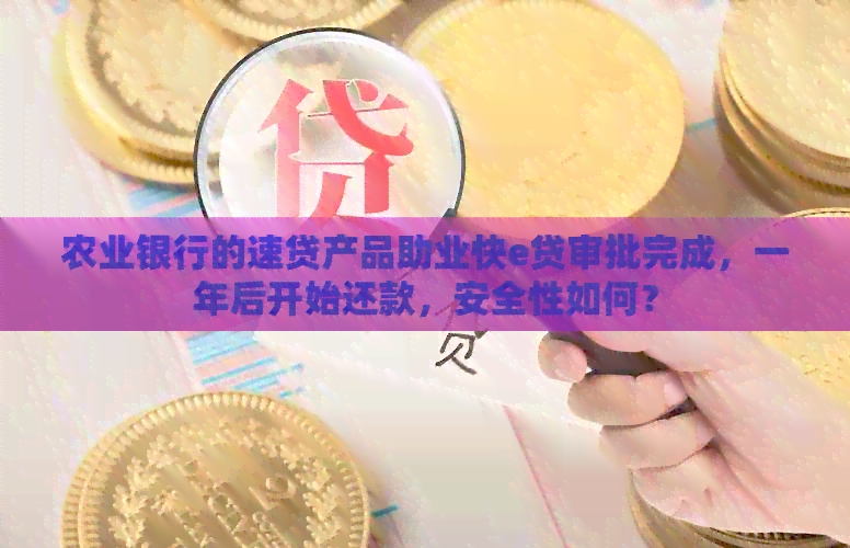 农业银行的速贷产品助业快e贷审批完成，一年后开始还款，安全性如何？