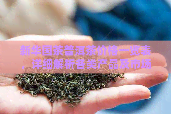 新     茶普洱茶价格一览表，详细解析各类产品及市场行情