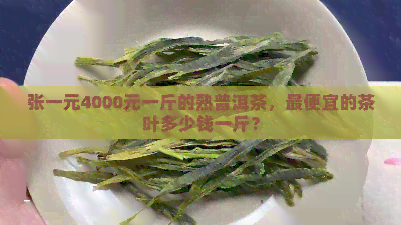 张一元4000元一斤的熟普洱茶，更便宜的茶叶多少钱一斤？