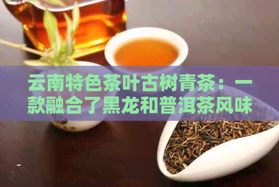 云南特色茶叶古树青茶：一款融合了黑龙和普洱茶风味的新锐茶叶