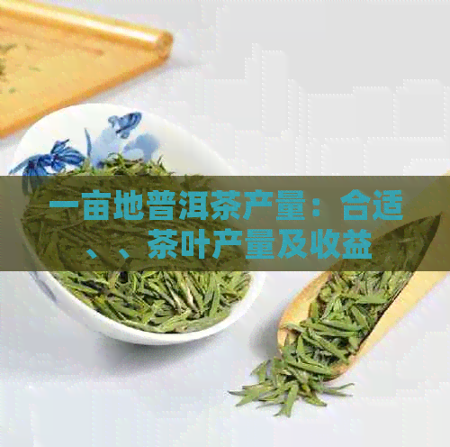 一亩地普洱茶产量：合适、、茶叶产量及收益