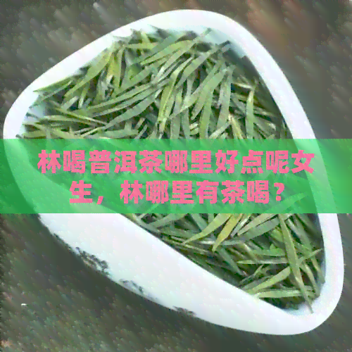 林喝普洱茶哪里好点呢女生，林哪里有茶喝？