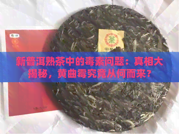 新普洱熟茶中的素问题：真相大揭秘，黄曲霉究竟从何而来？