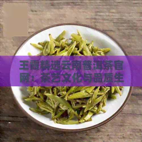 王霞精选云南普洱茶官网：茶艺文化与品质生活的完美融合