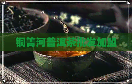 铜箐河普洱茶批发加盟