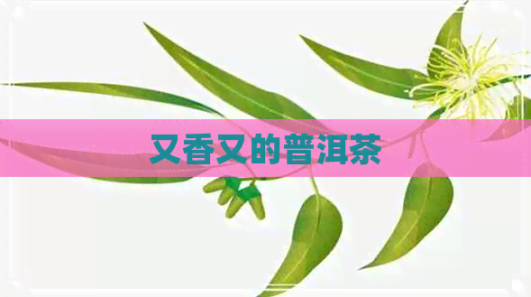 又香又的普洱茶