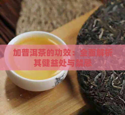 加普洱茶的功效：全面解析其健益处与禁忌