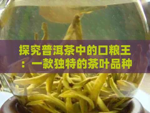 探究普洱茶中的口粮王：一款独特的茶叶品种解析