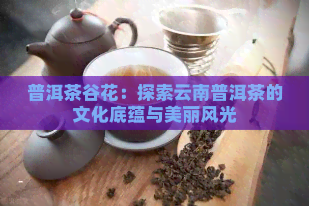 普洱茶谷花：探索云南普洱茶的文化底蕴与美丽风光