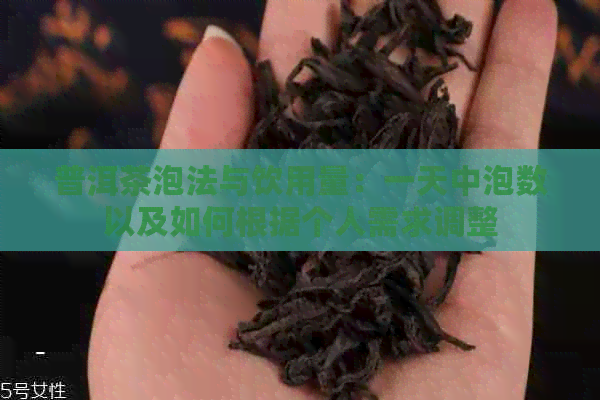 普洱茶泡法与饮用量：一天中泡数以及如何根据个人需求调整