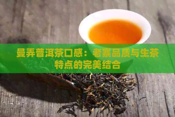 曼弄普洱茶口感：老寨品质与生茶特点的完美结合