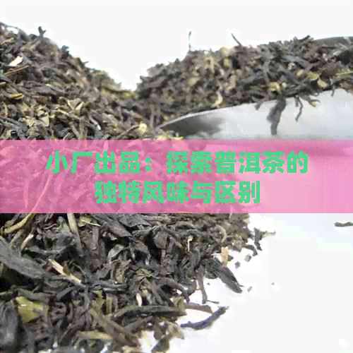 小厂出品：探索普洱茶的独特风味与区别