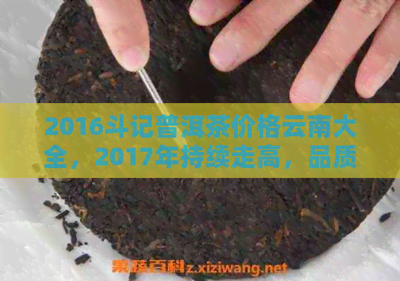 2016斗记普洱茶价格云南大全，2017年持续走高，品质上选！