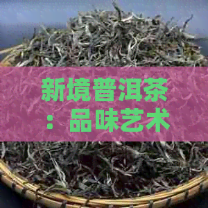 新境普洱茶：品味艺术，领略自然之美