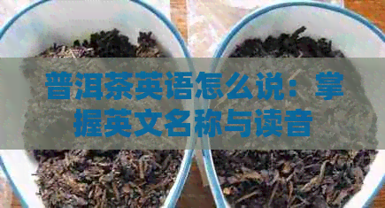 普洱茶英语怎么说：掌握英文名称与读音