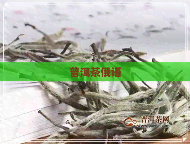 普洱茶俄语