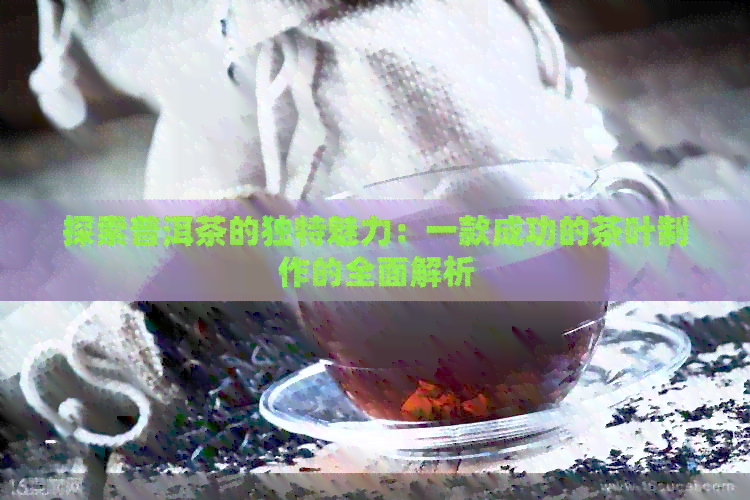 探索普洱茶的独特魅力：一款成功的茶叶制作的全面解析