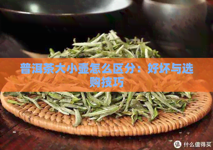 普洱茶大小壶怎么区分：好坏与选购技巧