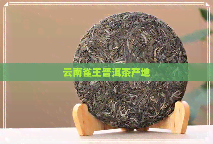 云南雀王普洱茶产地