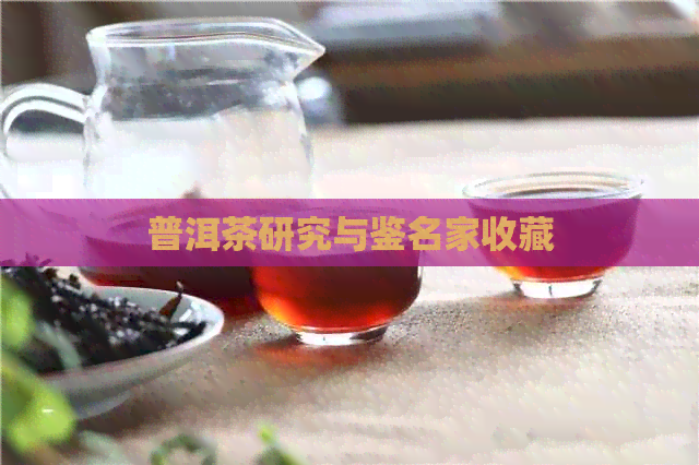 普洱茶研究与鉴名家收藏