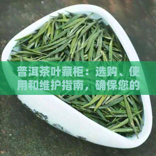 普洱茶叶藏柜：选购、使用和维护指南，确保您的茶叶保持品质与风味