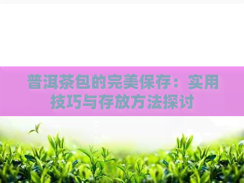 普洱茶包的完美保存：实用技巧与存放方法探讨