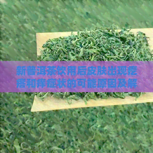 新普洱茶饮用后皮肤出现疙瘩和痒症状的可能原因及解决方法