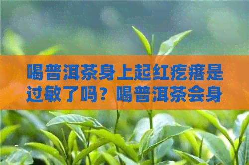 喝普洱茶身上起红疙瘩是过敏了吗？喝普洱茶会身上痒吗？