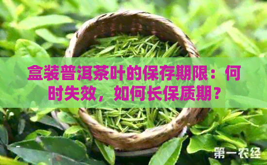 盒装普洱茶叶的保存期限：何时失效，如何长保质期？