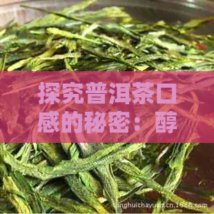 探究普洱茶口感的秘密：醇含量与其关系分析