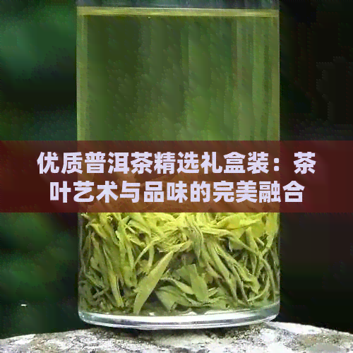 优质普洱茶精选礼盒装：茶叶艺术与品味的完美融合