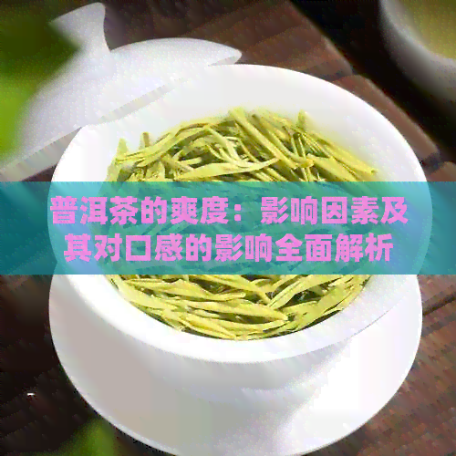 普洱茶的爽度：影响因素及其对口感的影响全面解析