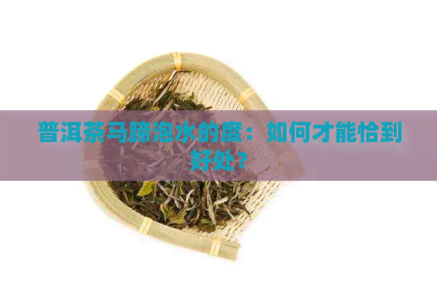 普洱茶马蹄泡水的度：如何才能恰到好处？