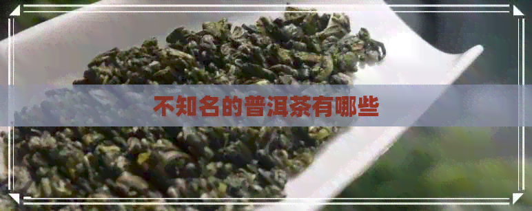 不知名的普洱茶有哪些