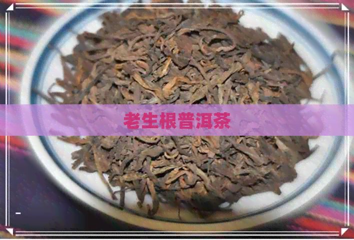 老生根普洱茶