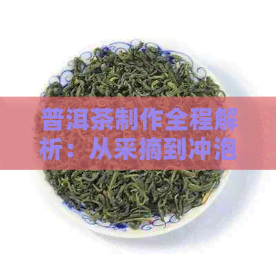 普洱茶制作全程解析：从采摘到冲泡，让你了解普洱茶的全部工艺和奥秘