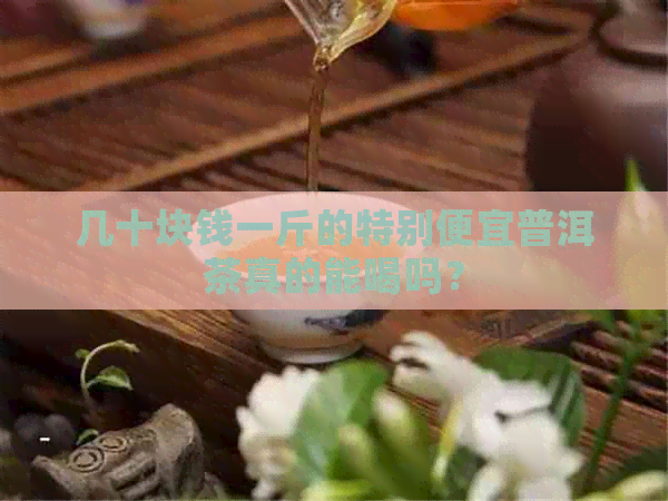 几十块钱一斤的特别便宜普洱茶真的能喝吗？