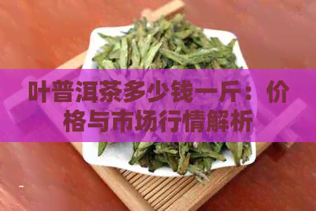 叶普洱茶多少钱一斤：价格与市场行情解析