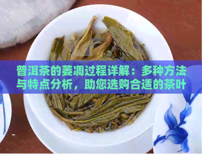 普洱茶的萎凋过程详解：多种方法与特点分析，助您选购合适的茶叶