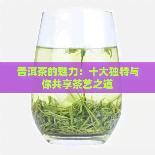 普洱茶的魅力：十大独特与你共享茶艺之道