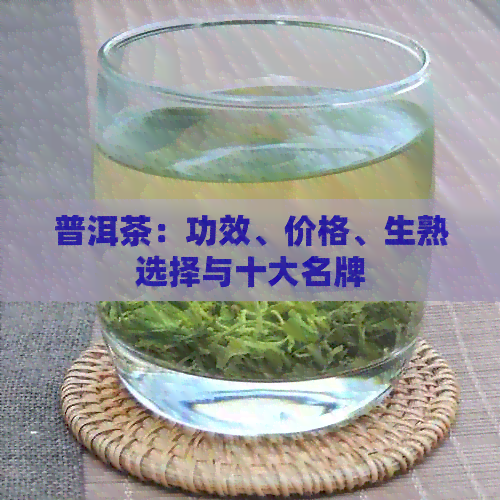 普洱茶：功效、价格、生熟选择与十大名牌