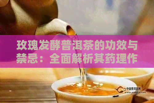 玫瑰发酵普洱茶的功效与禁忌：全面解析其药理作用及适用人群