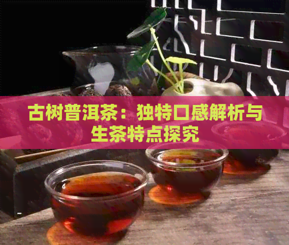 古树普洱茶：独特口感解析与生茶特点探究