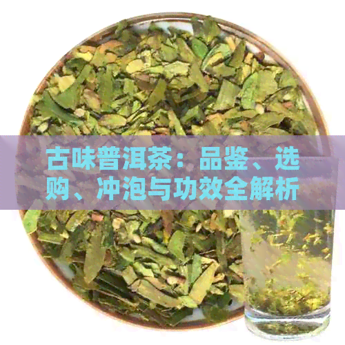 古味普洱茶：品鉴、选购、冲泡与功效全解析 - 让你全面了解普洱茶的魅力