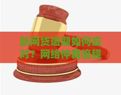 新网贷逾期如何应对？网络仲裁流程详解及解决办法