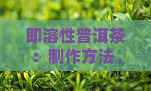 即溶性普洱茶：制作方法、功效、适用人群与泡茶技巧一应俱全