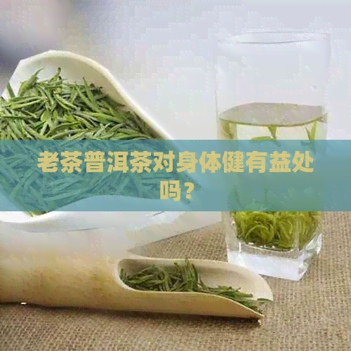 老茶普洱茶对身体健有益处吗？